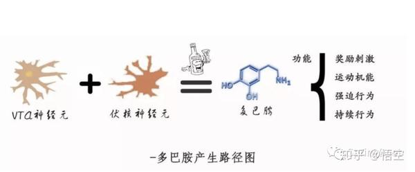 想要快乐陪伴左右吗多种提高多巴胺的方法送给你