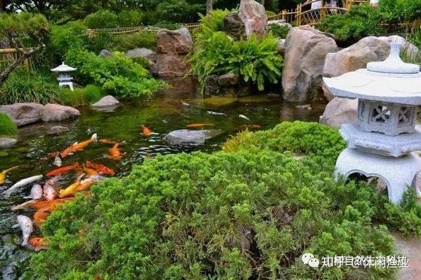 欧美锦鲤鱼池 欧美的锦鲤池设计更加现代,形状更加规则,多为常见几何