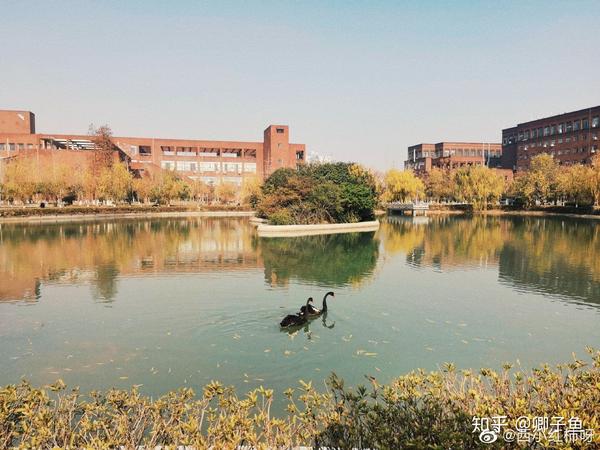 江西师范大学应用心理专硕考研一战成名系列院校