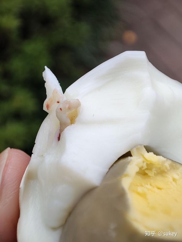 鸡蛋里面有虫,好恶心