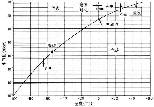 真空冷冻干燥机的原理图和干燥工艺曲线图