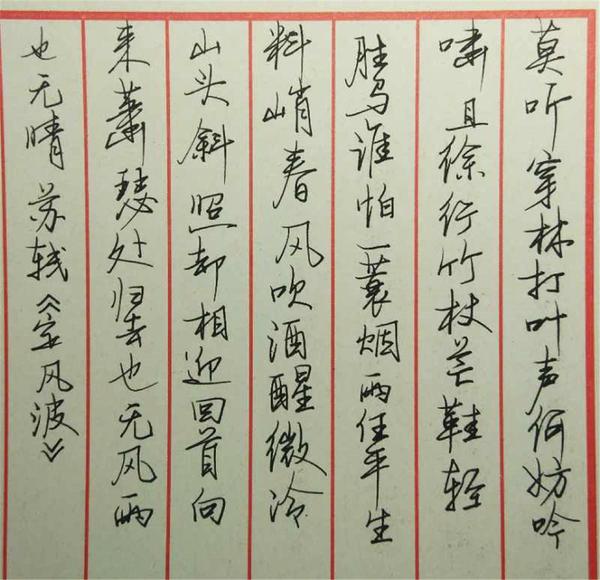苏轼《定风波》手写钢笔字笔友钢笔书法习作欣赏