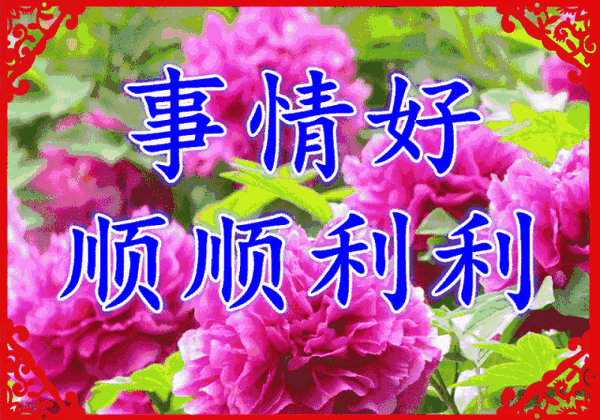 女人都是一朵花,祝你节曰快乐