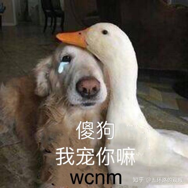 有哪些沙雕表情包?