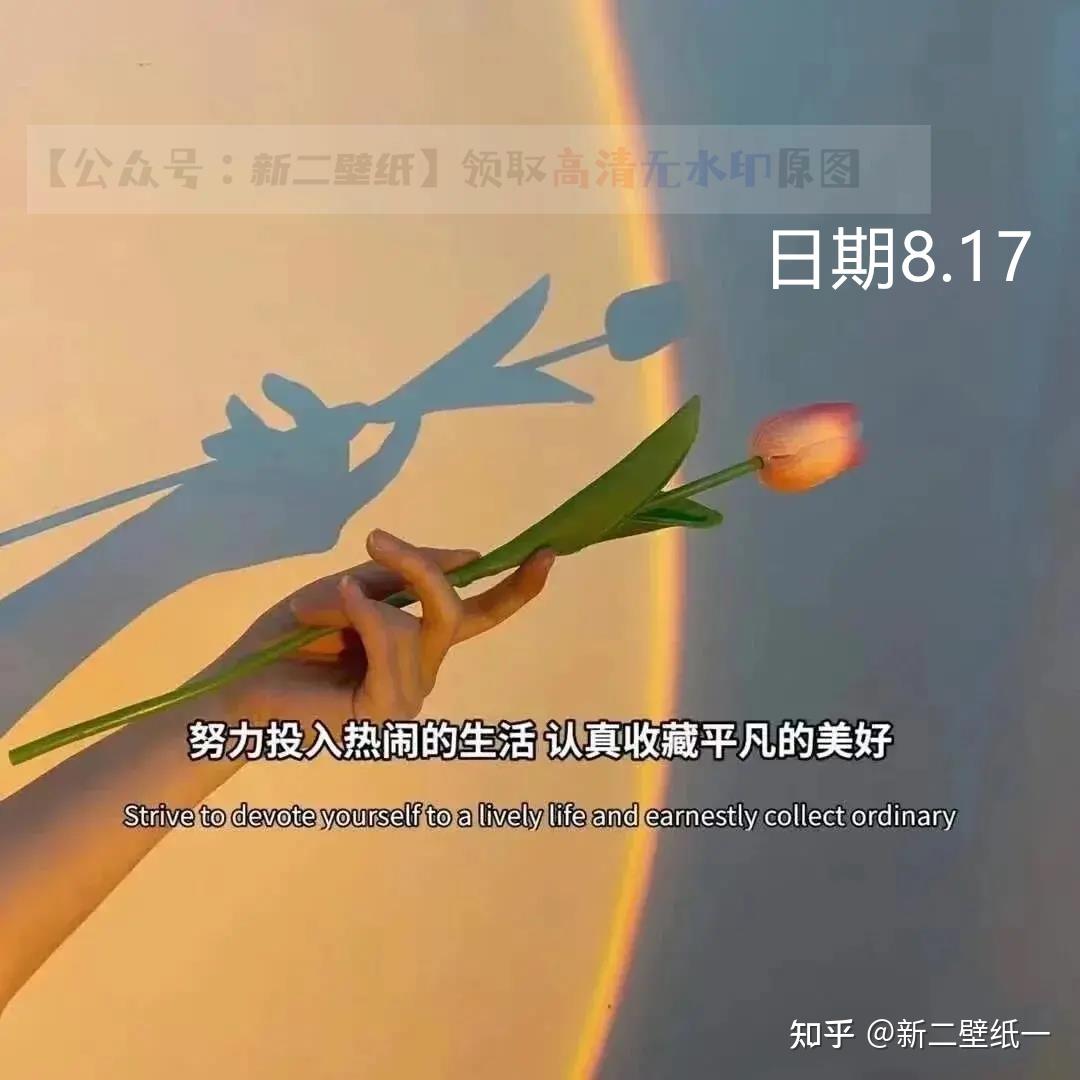 认真收藏平凡的美好 图片 抖音热门 朋友圈封面 壁纸 背景图