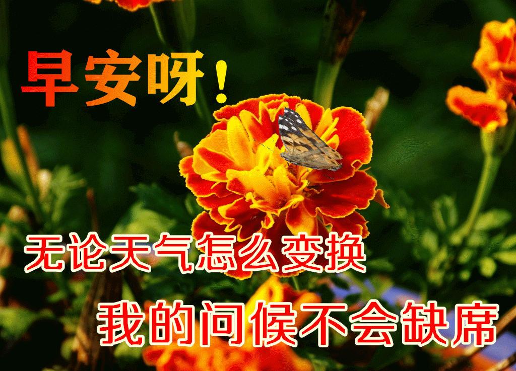 超可爱免打字聊天的可爱动画表情包 漂亮的早上好滚动动态表情包图片