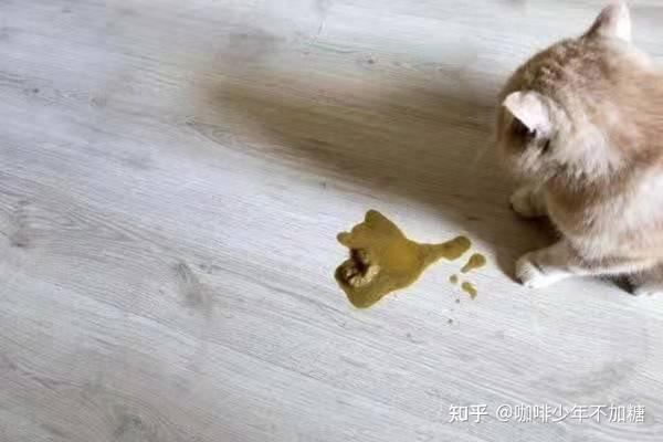 突然更换会造成猫咪肠胃不适造成肠胃炎,伴随腹泻和呕吐情况发生,需要