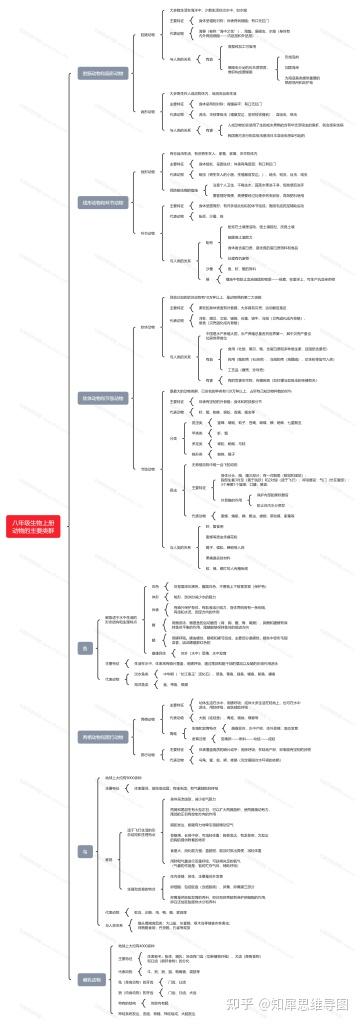 八年级生物上册第一章思维导图:动物的主要类群