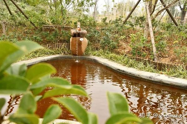 【 武汉出发】汉川天屿湖温泉美食养生游 精选住宿·佳庆商务酒店