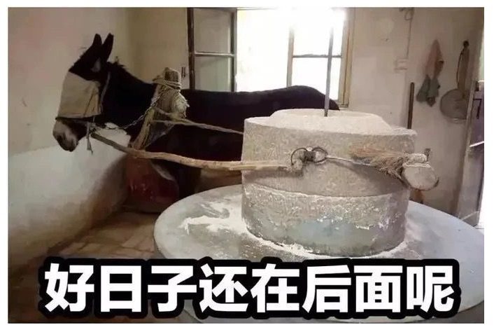 好日子还在后头呢是什么梗