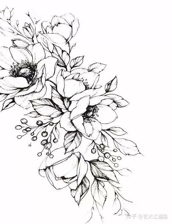 速写花卉分享.植物画花卉线稿,可临摹