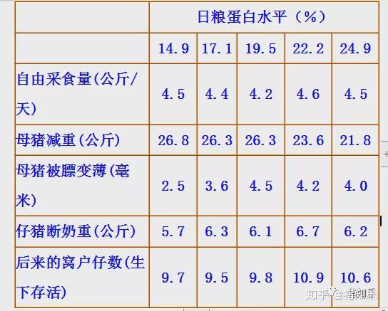 表2 提高哺乳母猪自由采食量的实验结果