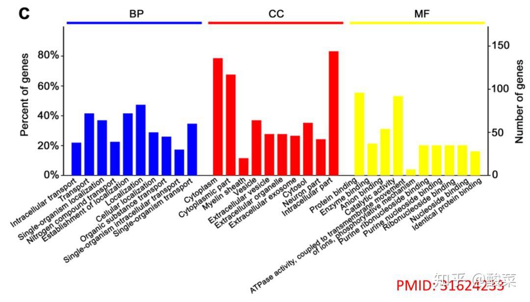 文献中通常使用柱形图或点图来展示go富集分析结果:基因本体(gene