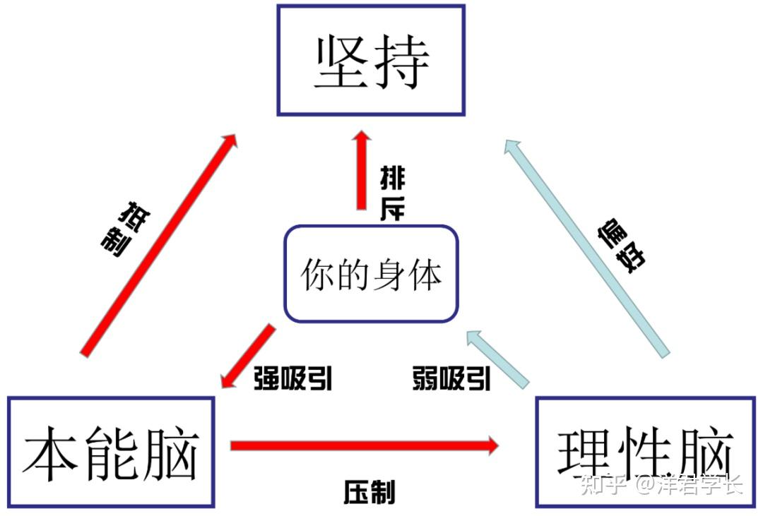 所谓成长就是不断和自己本能脑和解的过程