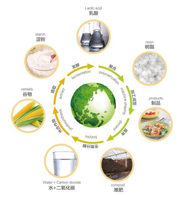 科学认识可降解塑料还需要进一步完善