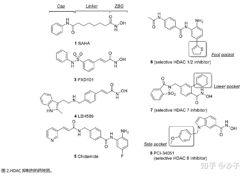 肿瘤组蛋白脱乙酰酶 HDAC 抑制剂的最新专利总结2020年至今 知乎