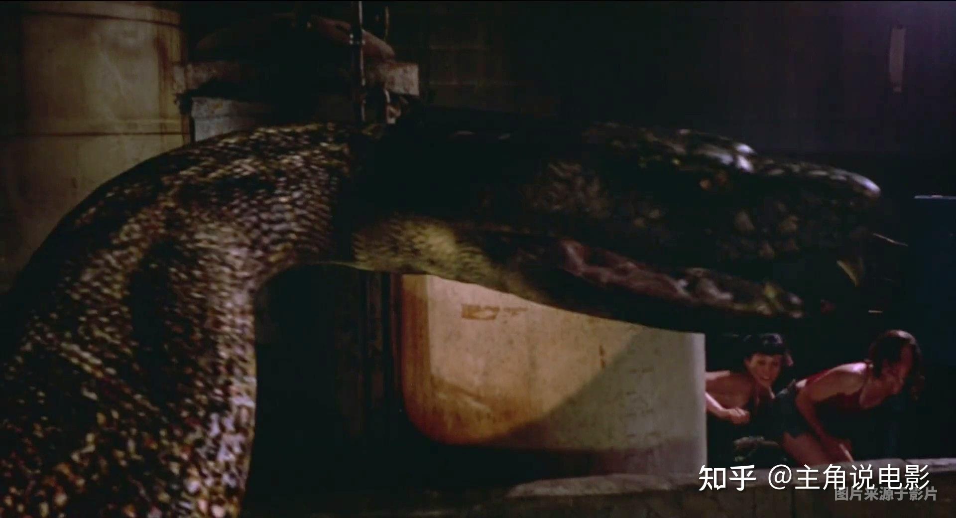 主角简述童年外国蛇类电影大蟒蛇死里逃生