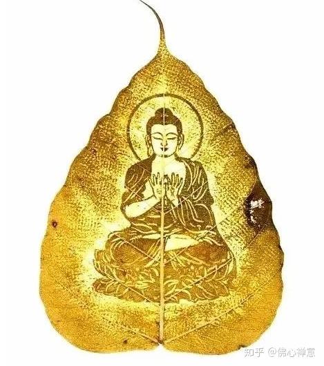 金刚经40句精华值得你看