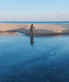 看到你摔了我就放心了!让你小子自己作死