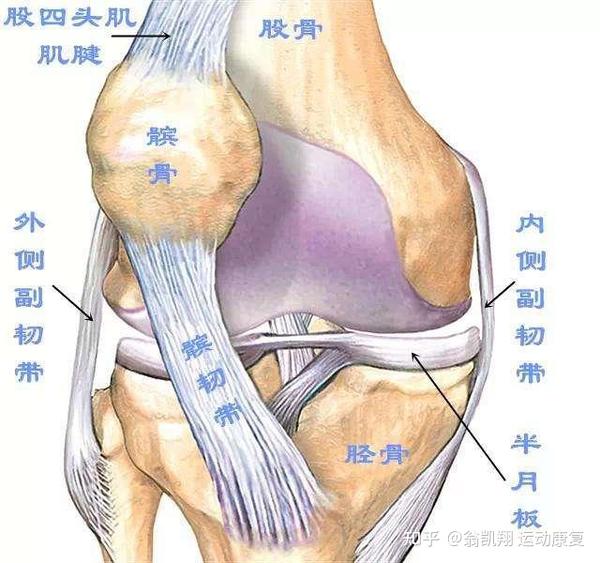 高位髌骨的我还能剧烈运动吗