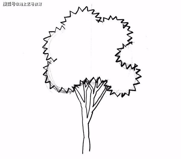如何在较短的时间内掌握手绘植物的画法?