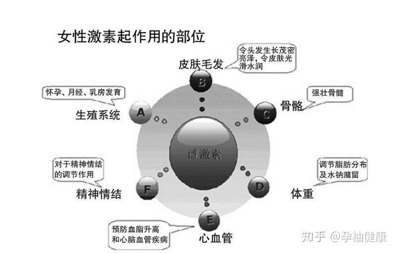 了解伴随女性一生的雌激素