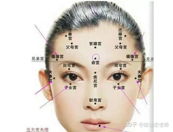 图为面部12宫