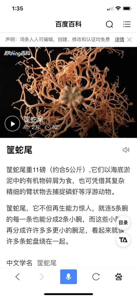 被勾起好奇心 问了些朋友 说这是蔓星鱼 学术点就是筐蛇尾 同时我也