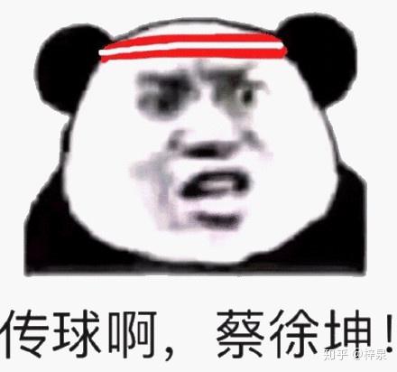 再比如说熊猫头配上一句 "传球啊 蔡徐坤!"