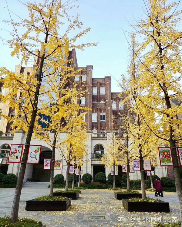 湘郡未来实验学校