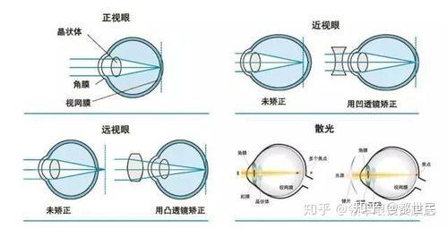 研究人眼新问题佛学与科学论眼睛都世民