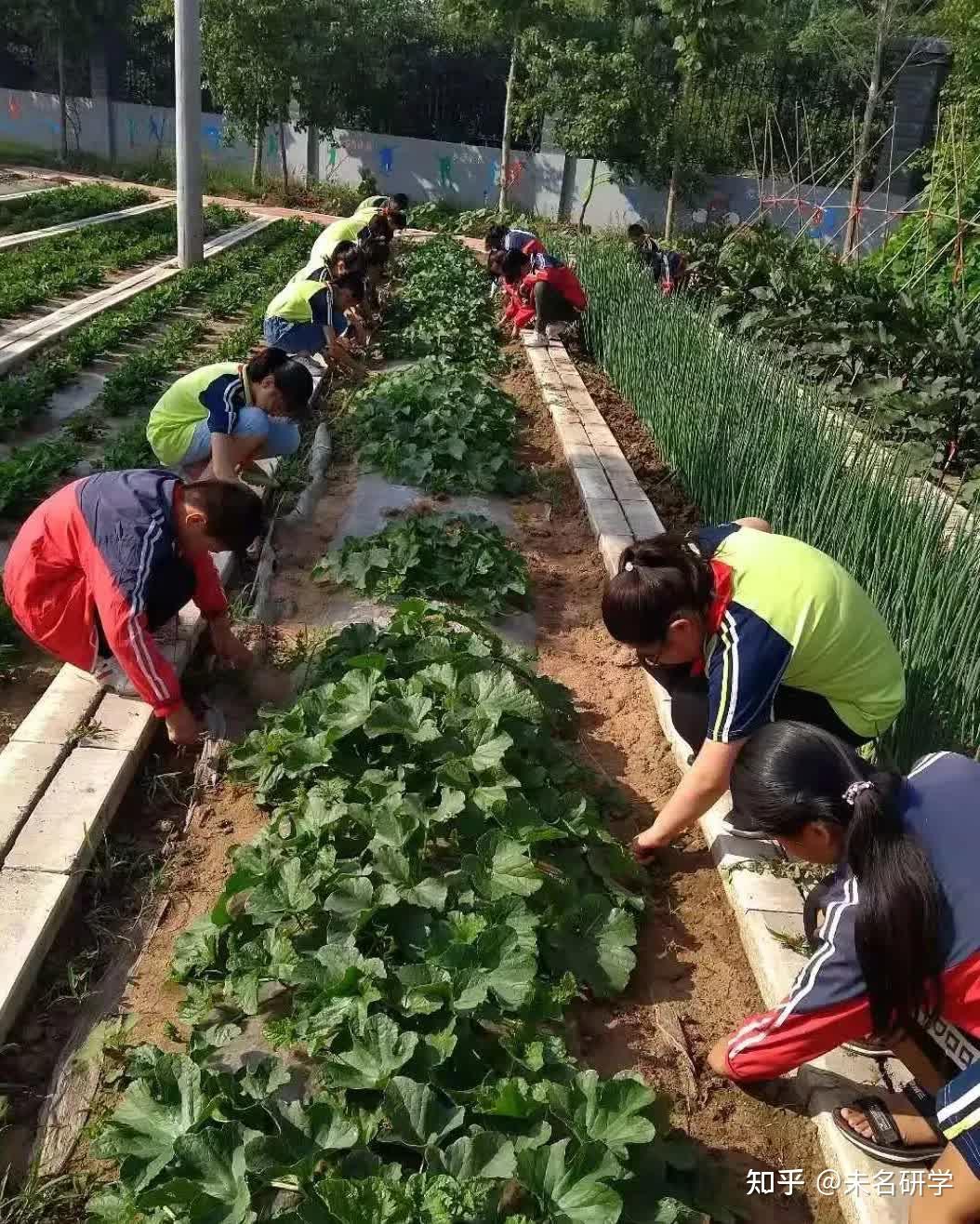 根据劳动课程的特点,学校设计家务篇,美食篇,种植篇,制作篇,感恩篇的