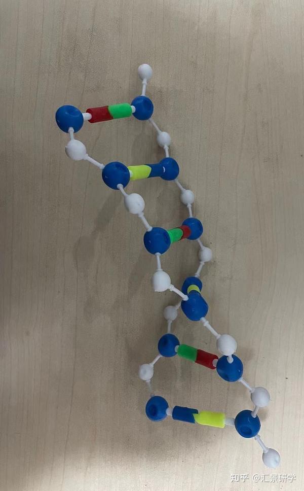 研究性学习范文dna双螺旋结构模型制作99通用技术作品报告书