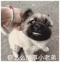 有哪些沙雕表情包