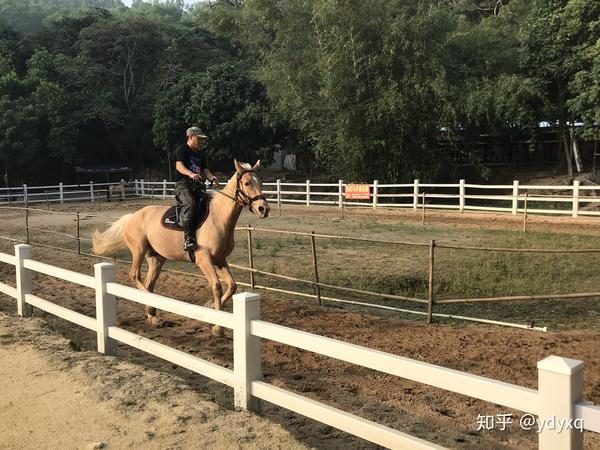 珠海周边骑马好去处好地方