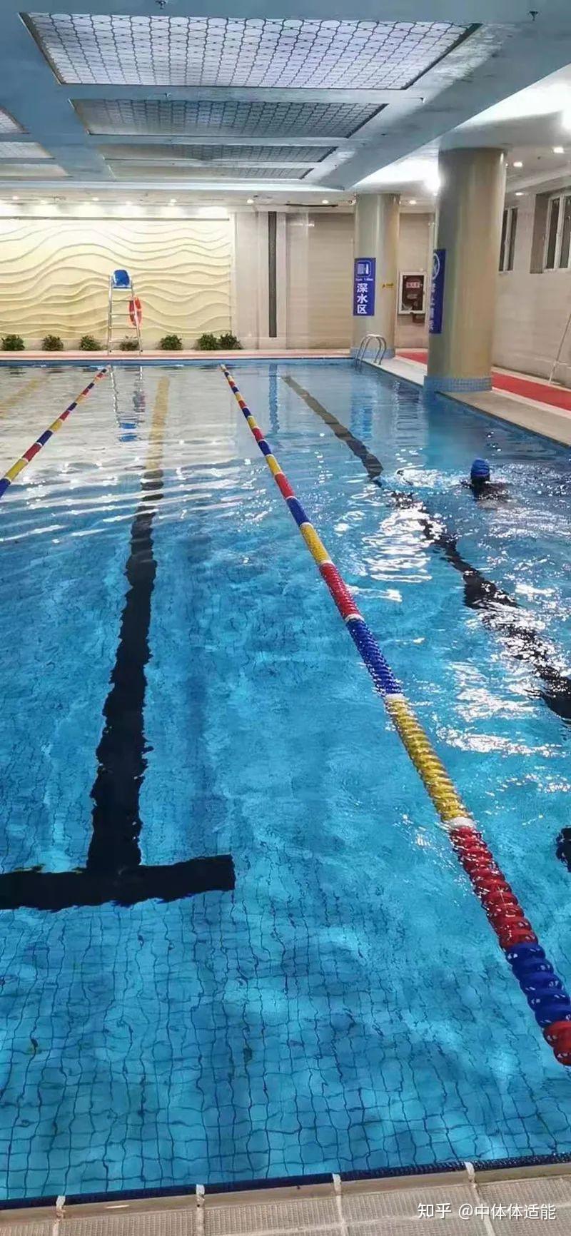 米咖游泳健身成为ibfa国际青少儿体适能游泳等级考评基地
