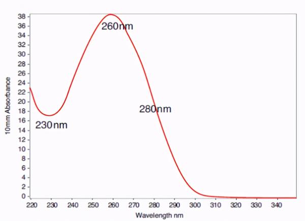 干货| 解密紫外吸收法核酸浓度测定的"诡异"现象