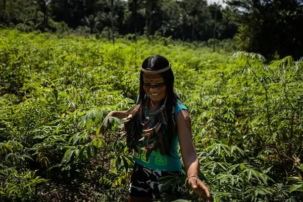 亚马逊雨林土著少女直播吃昆虫成网红如今没钱交网费要被断网了