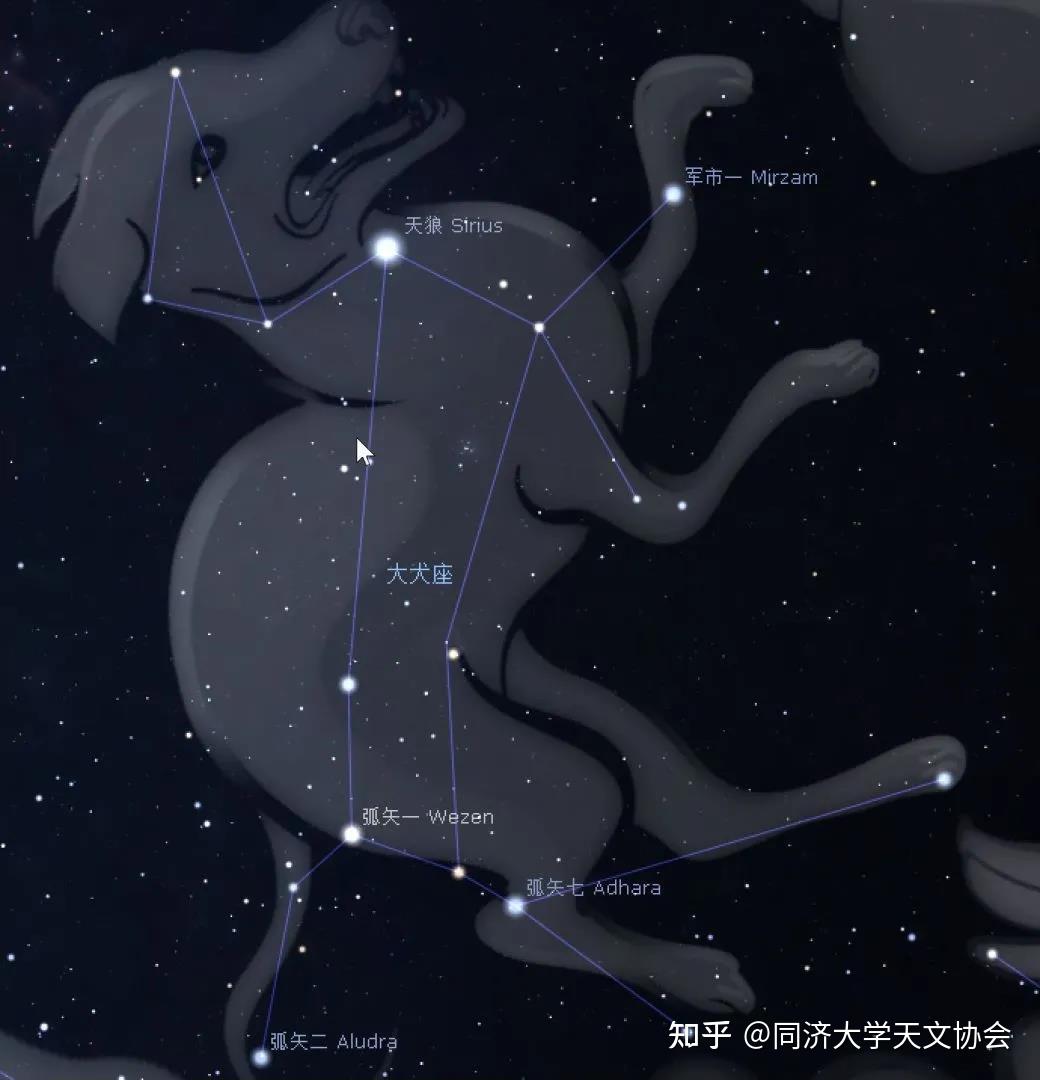 星座方舟大犬座