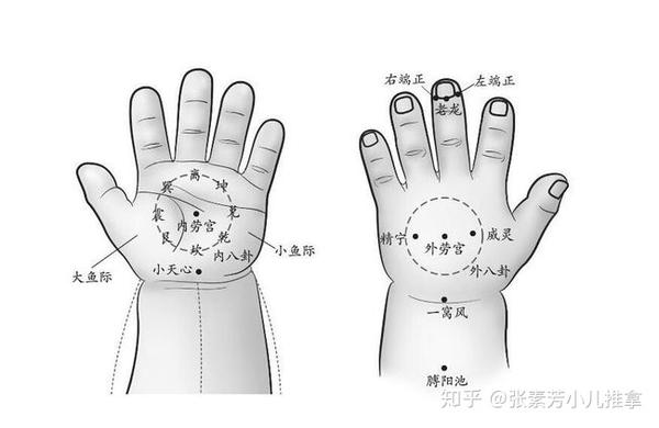 小儿推拿李波:小儿推拿中顺运内八卦与逆运内八卦的区别和应用