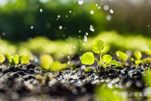 谷雨为何说下雨天让人感到极度舒适