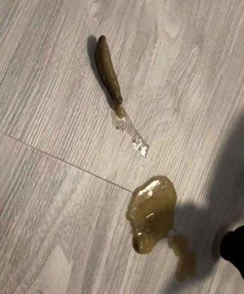 (真的不是粑粑~就是毛球呕吐物) 对症下药