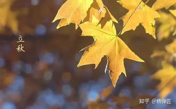 立秋|人生一世,草木一秋 .