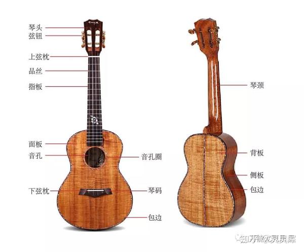 小u知识点二尤克里里的构成