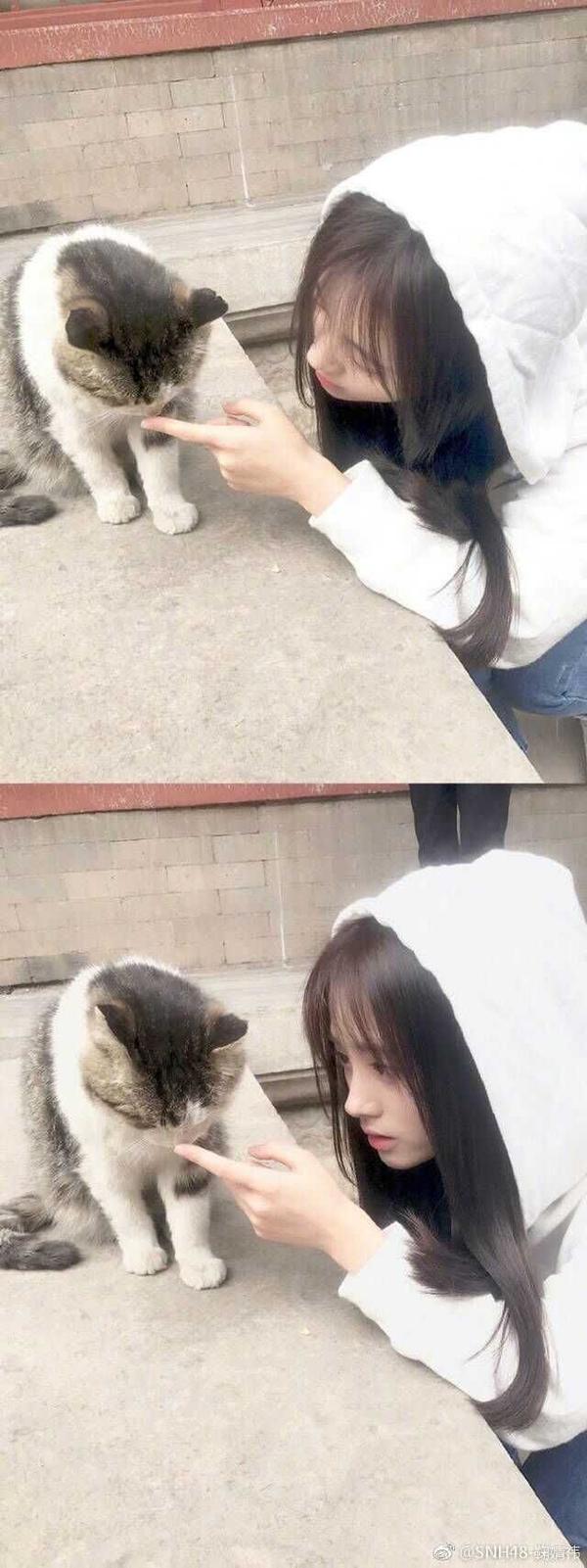 如何评价鞠婧祎的长相?
