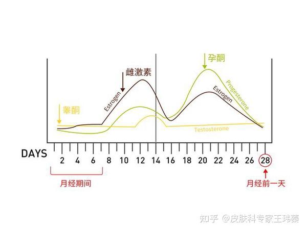 女性月经期为什么更容易长痘痘?