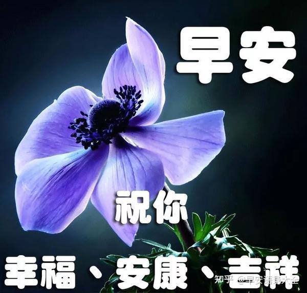 2021年5月23日星期天早上好问候语图片 周日最新早安问候祝福图片带字