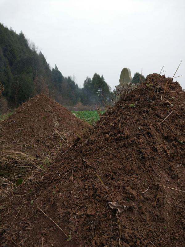 坟头添加土