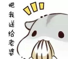 有哪些适合情侣间聊天使用的表情包?