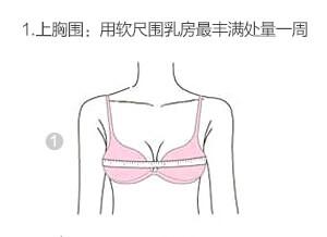 看到了 bra 的尺码: 上胸围86-88 下胸围68-72 算出来是: 70d - 70ede